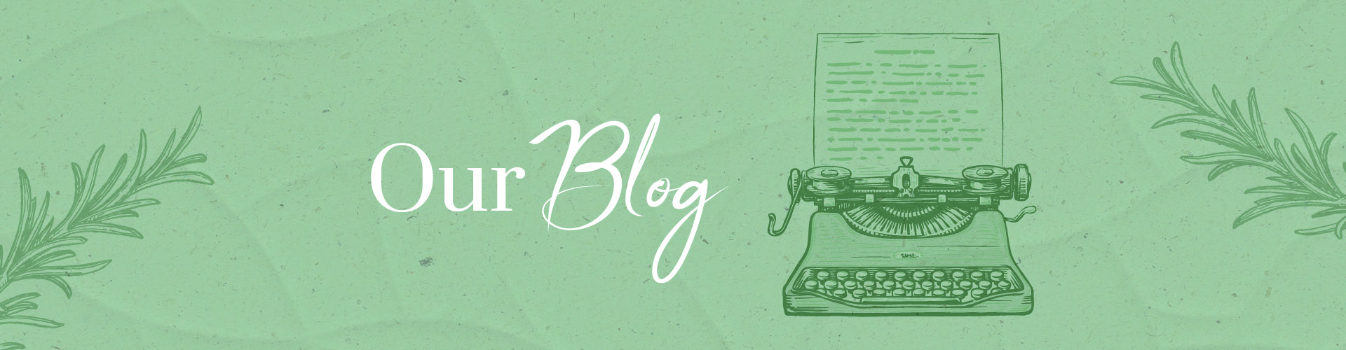 Our Blog