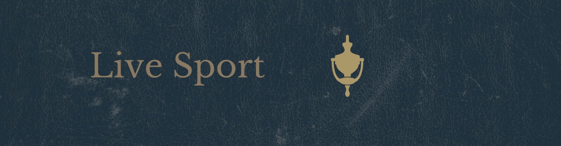 Pubs showing sport in [#SiteTown#]