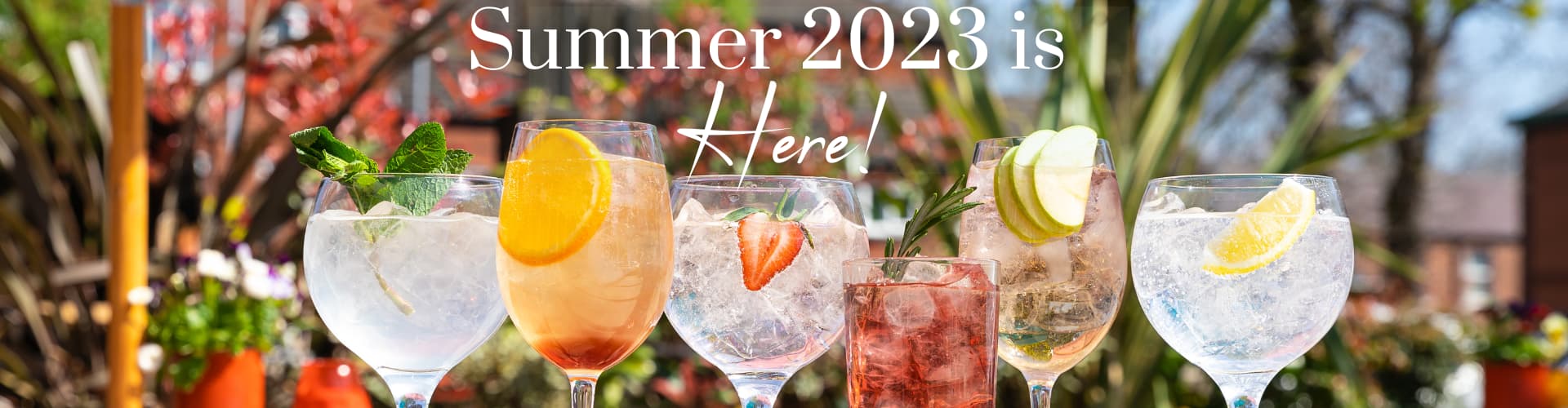 Summer 2023 