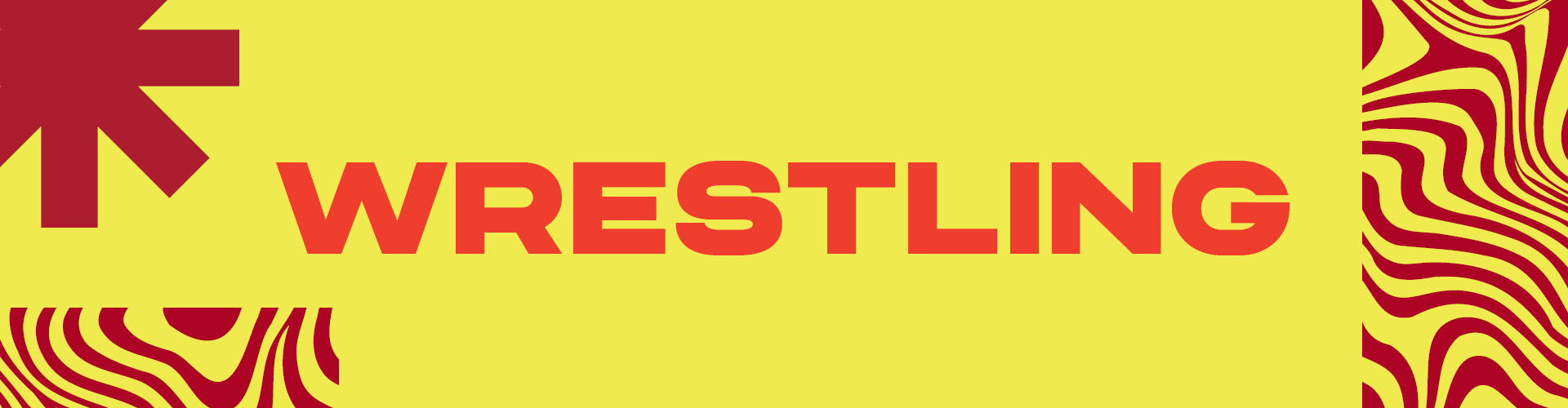 Live from Nashville, TN - SummerSlam - Sat 30th July - Book Now