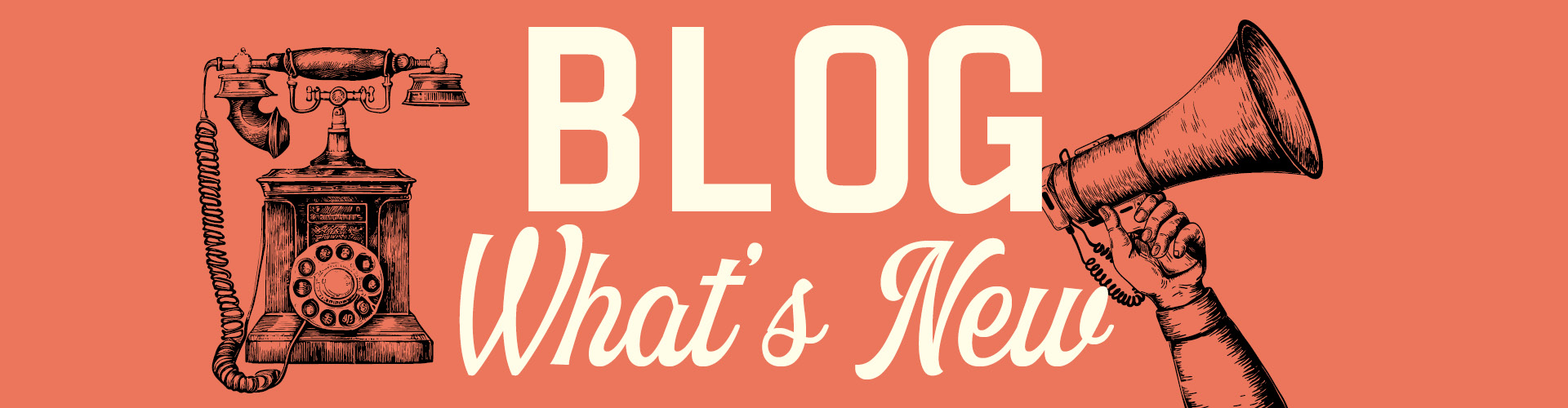 Blog - What's New