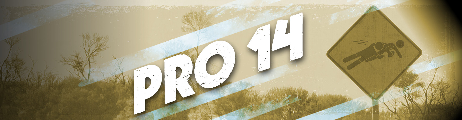 Pro 14 Rugby at Walkabout