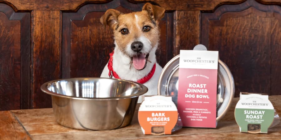 Events and Competitions at Pubsmiths