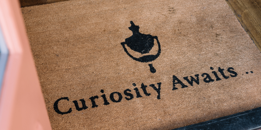 Curiosity Awaits at The Chapter Collection