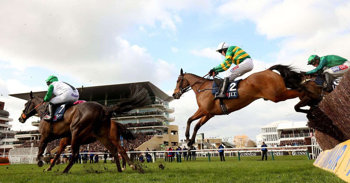 Cheltenham Horse Racing