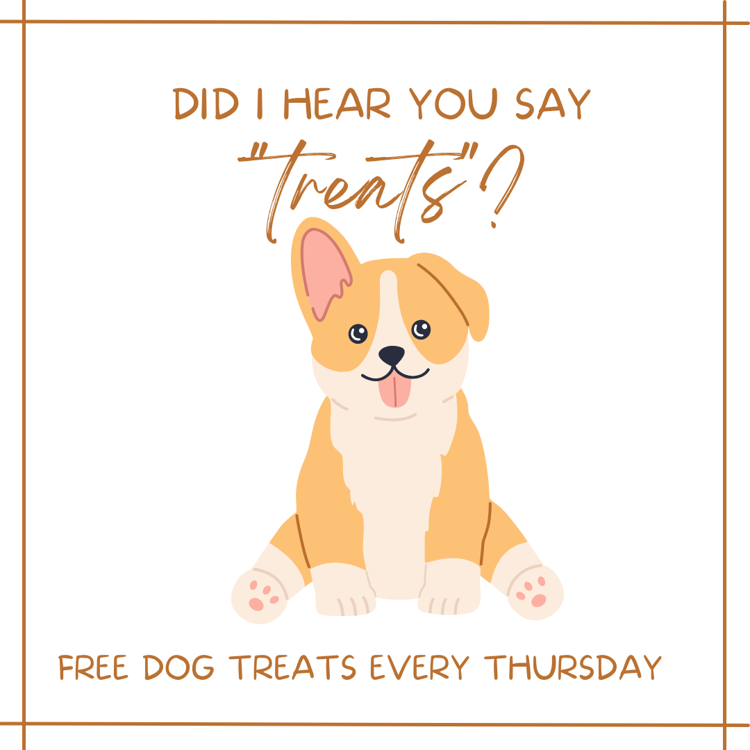 Pooch Thursday