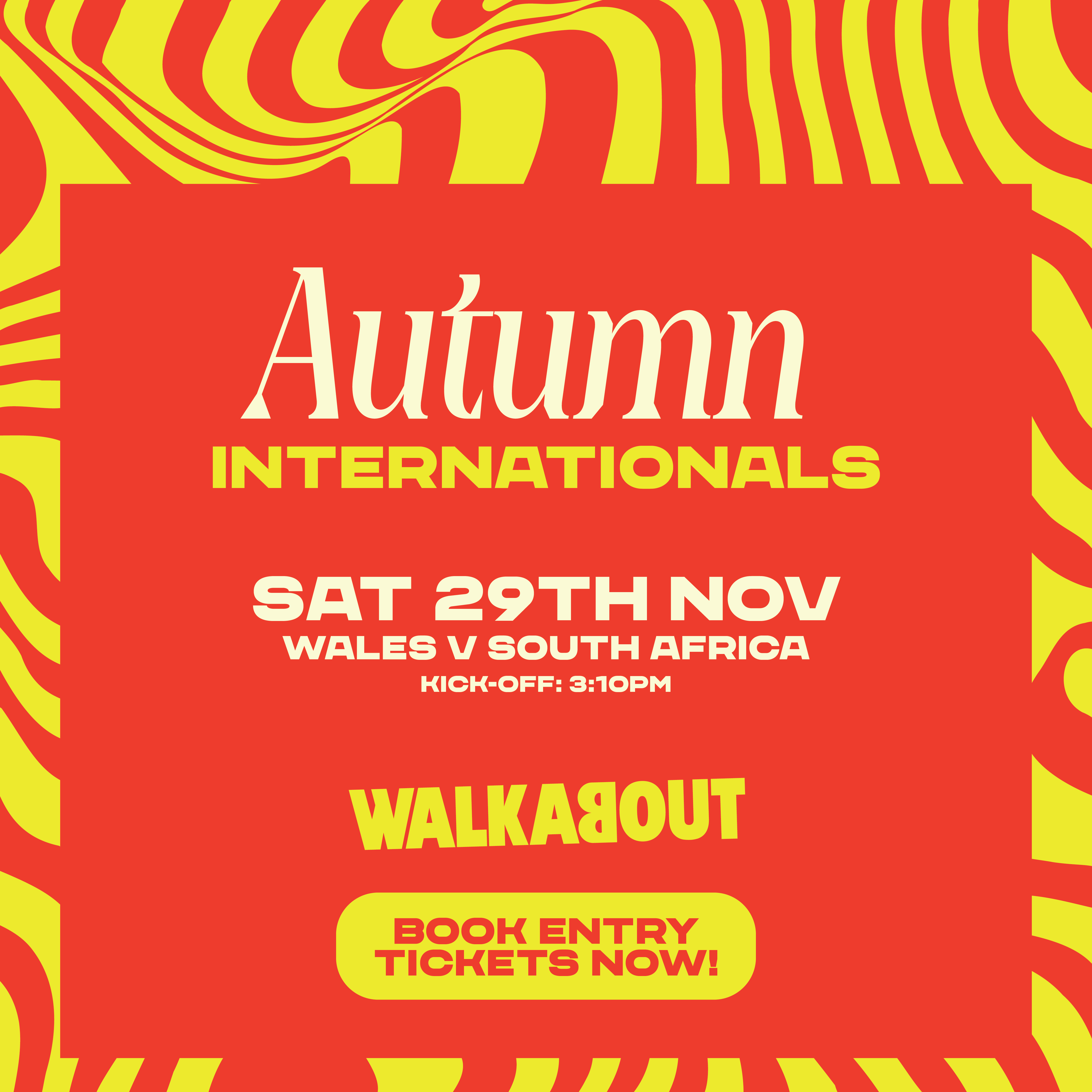 Wales v South Africa Rugby