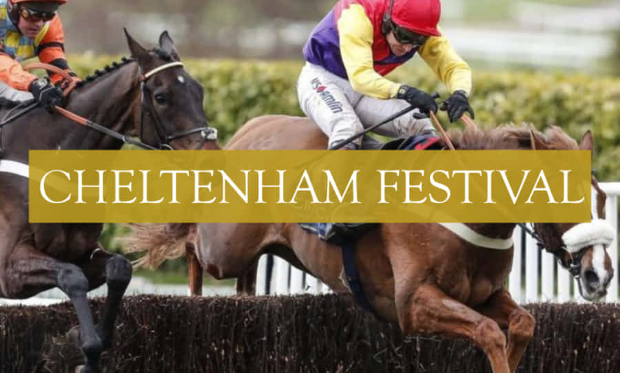Cheltenham Festival