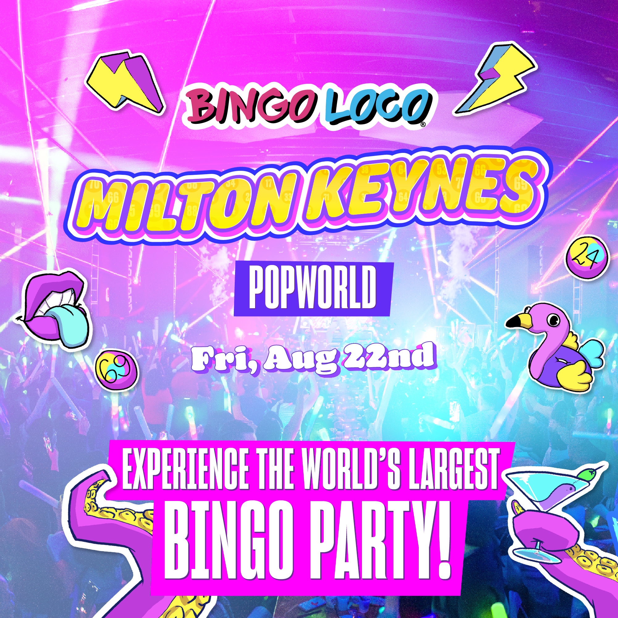 Bingo Loco