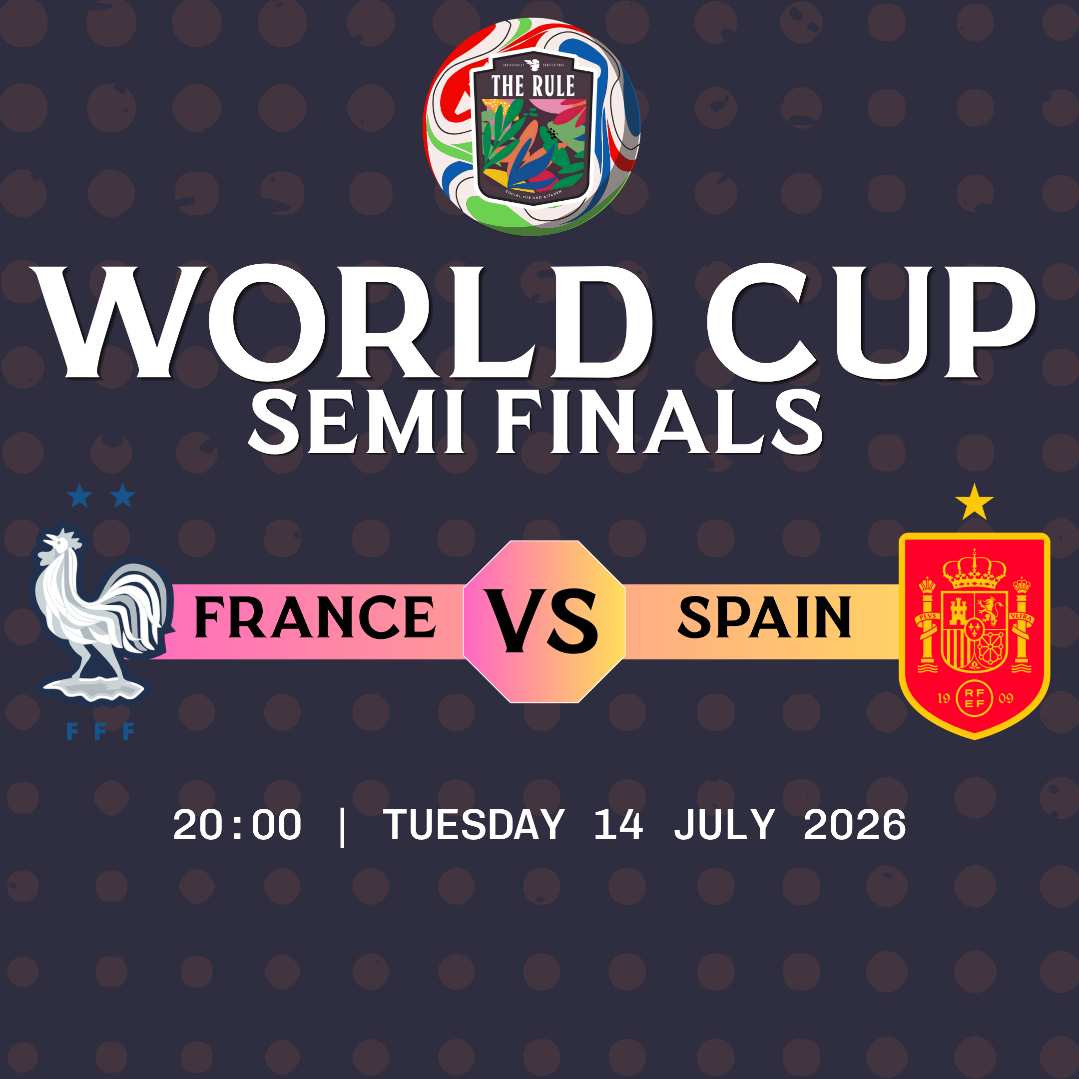 France v Spain - WC Semi Final