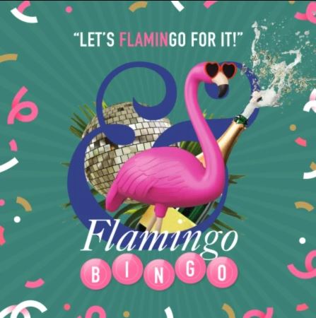 FLAMINGO BINGO 🦩✨