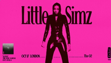 LITTLE SIMZ Pre and Post Show Party
