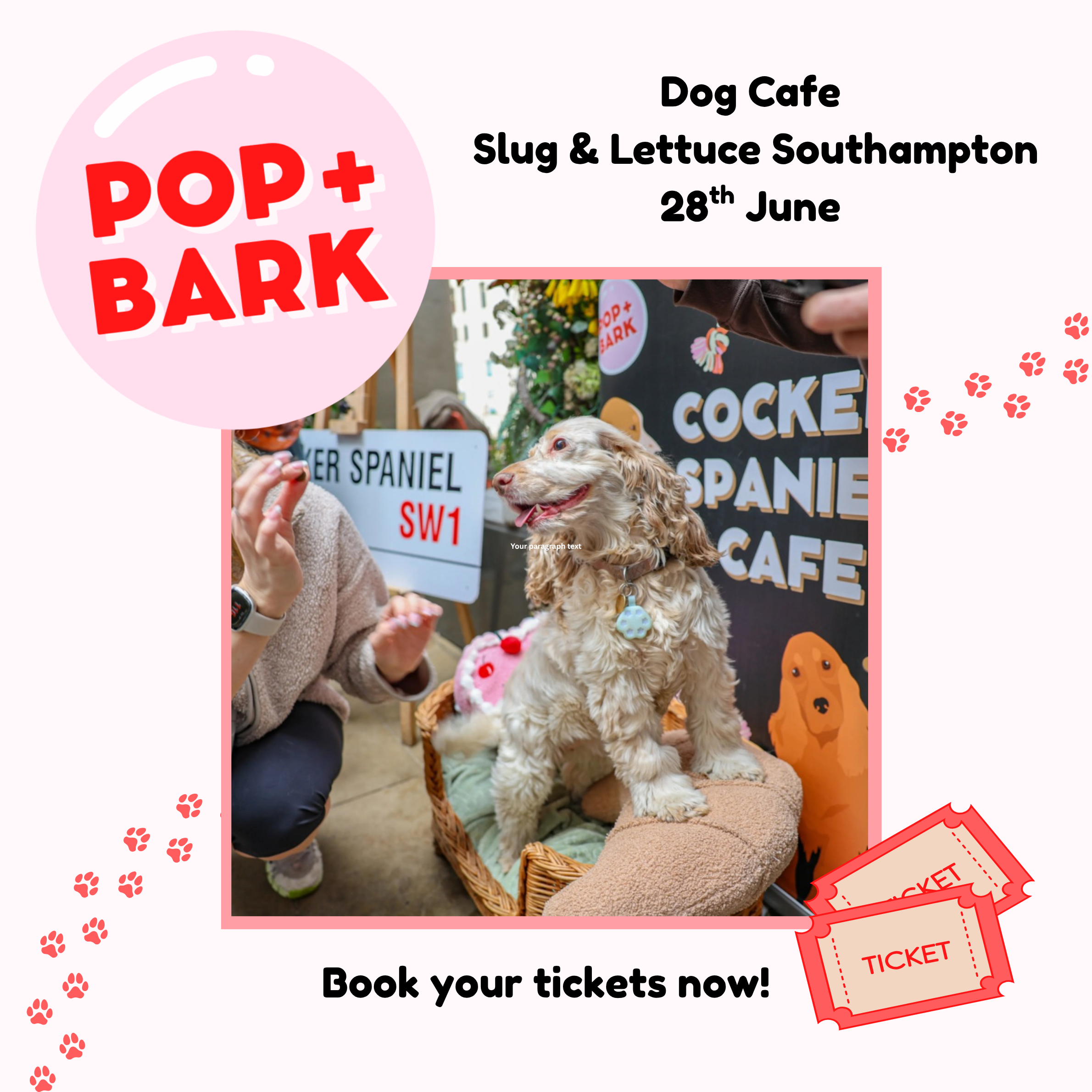 POP+BARK Dog Cafe