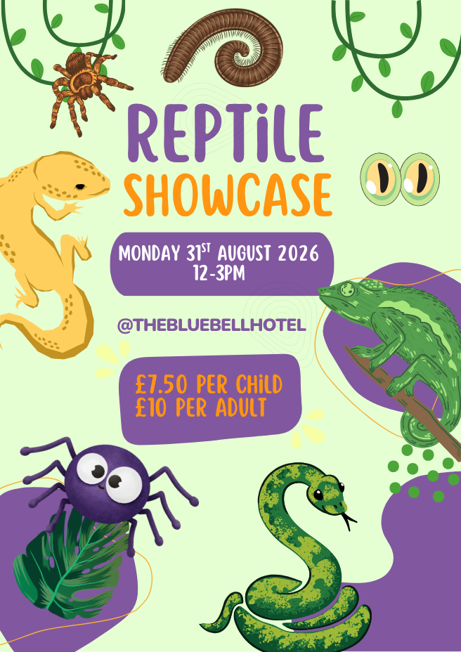 Reptile Showcase 