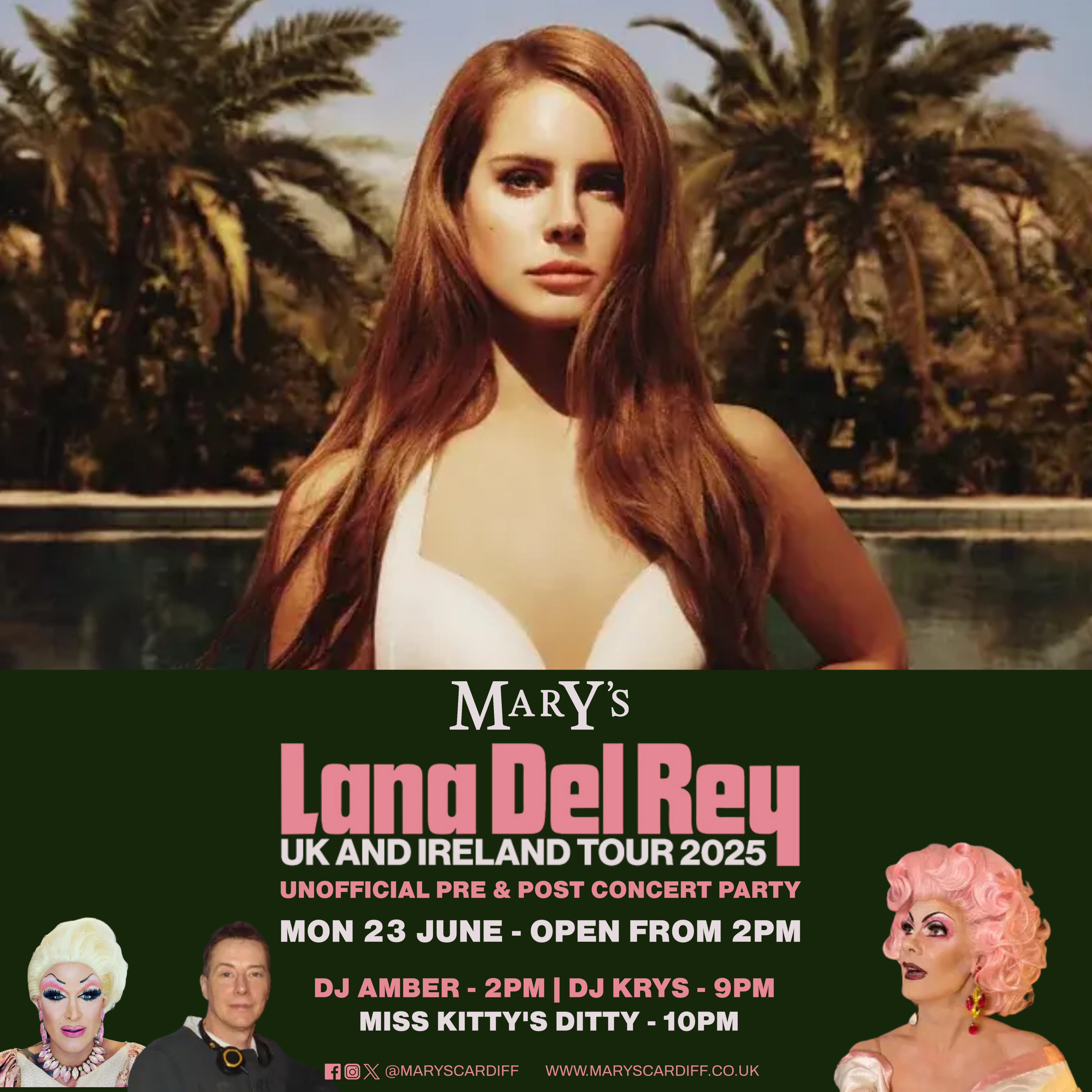 Lana Del Rey Concert Party