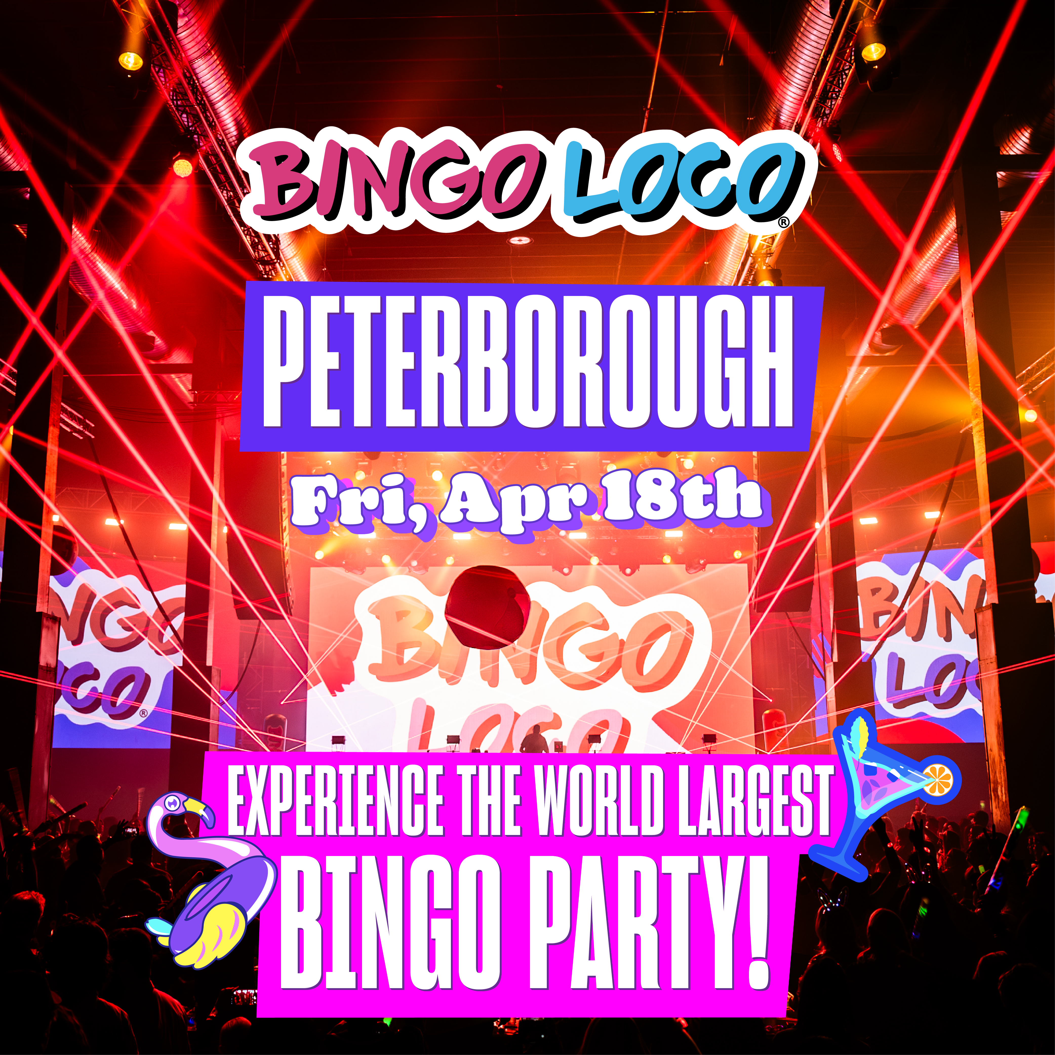 BINGO LOCO 