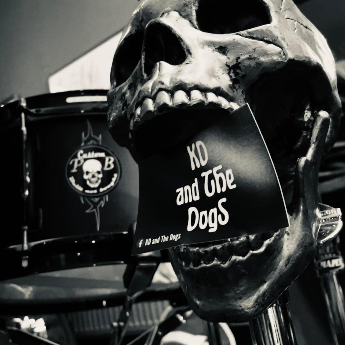 Sunday Social- K D and The Dogs