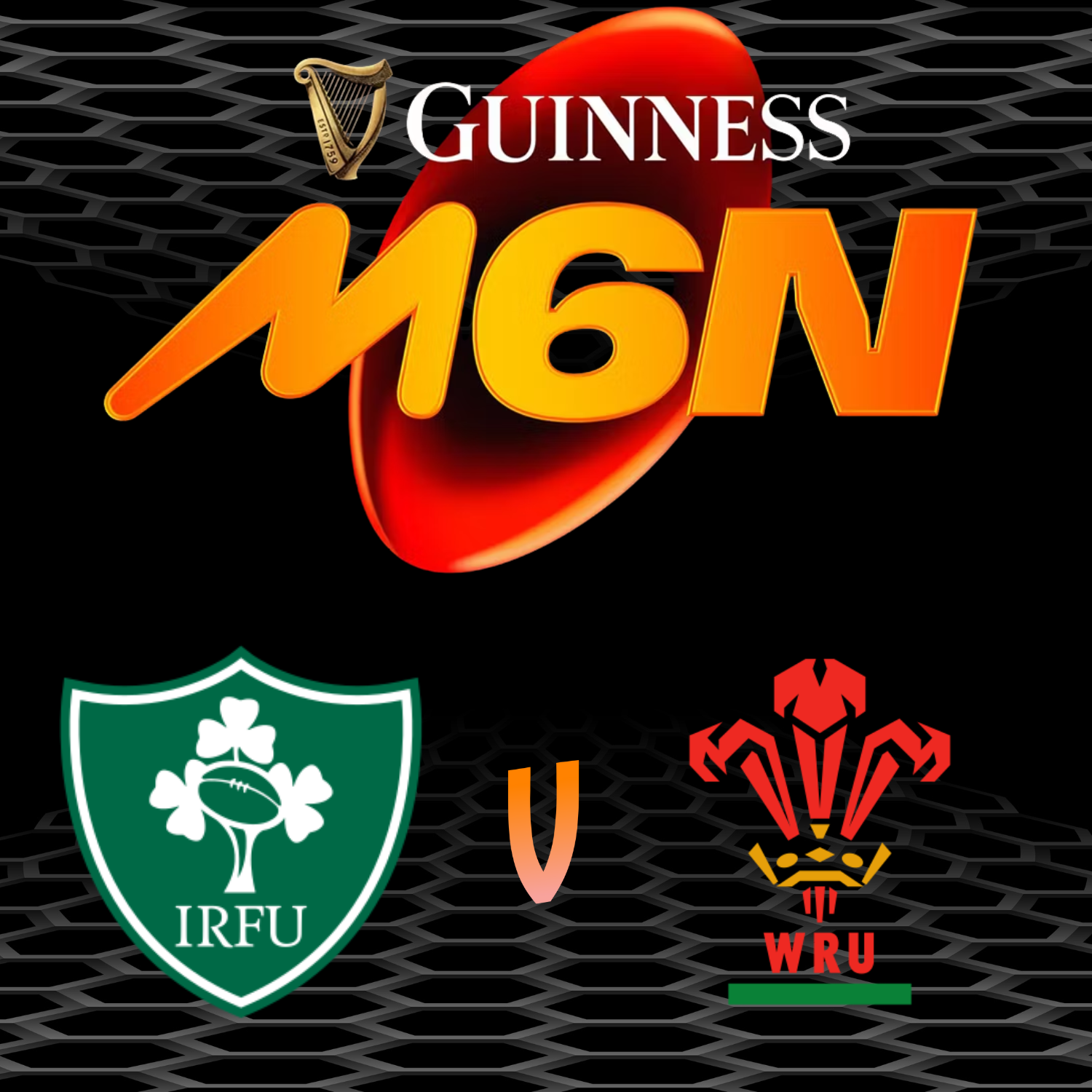6 Nations - Ireland v Wales