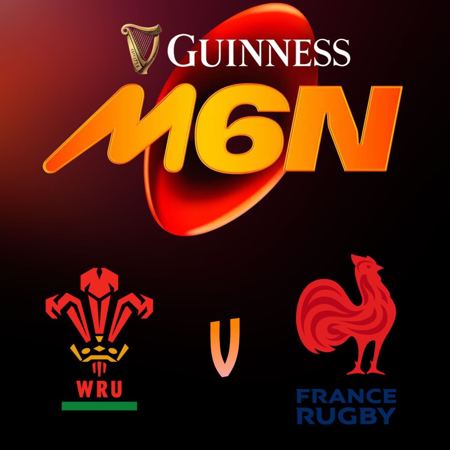 6 Nations - Wales v France