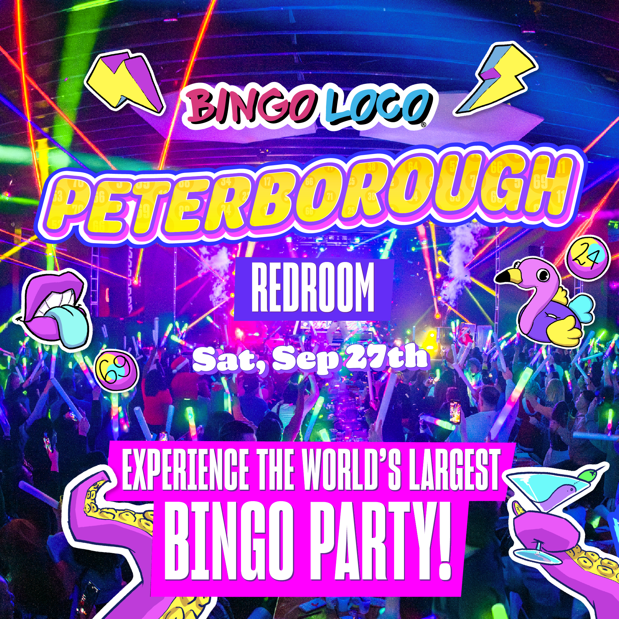 BINGO LOCO 