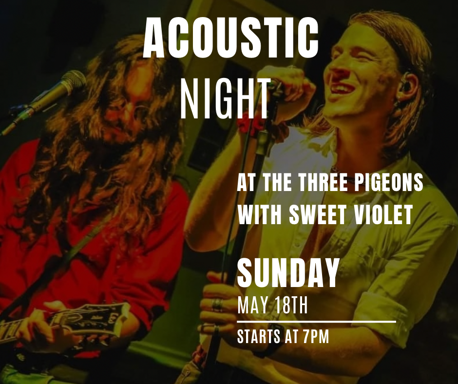 acoustic night with sweet violet