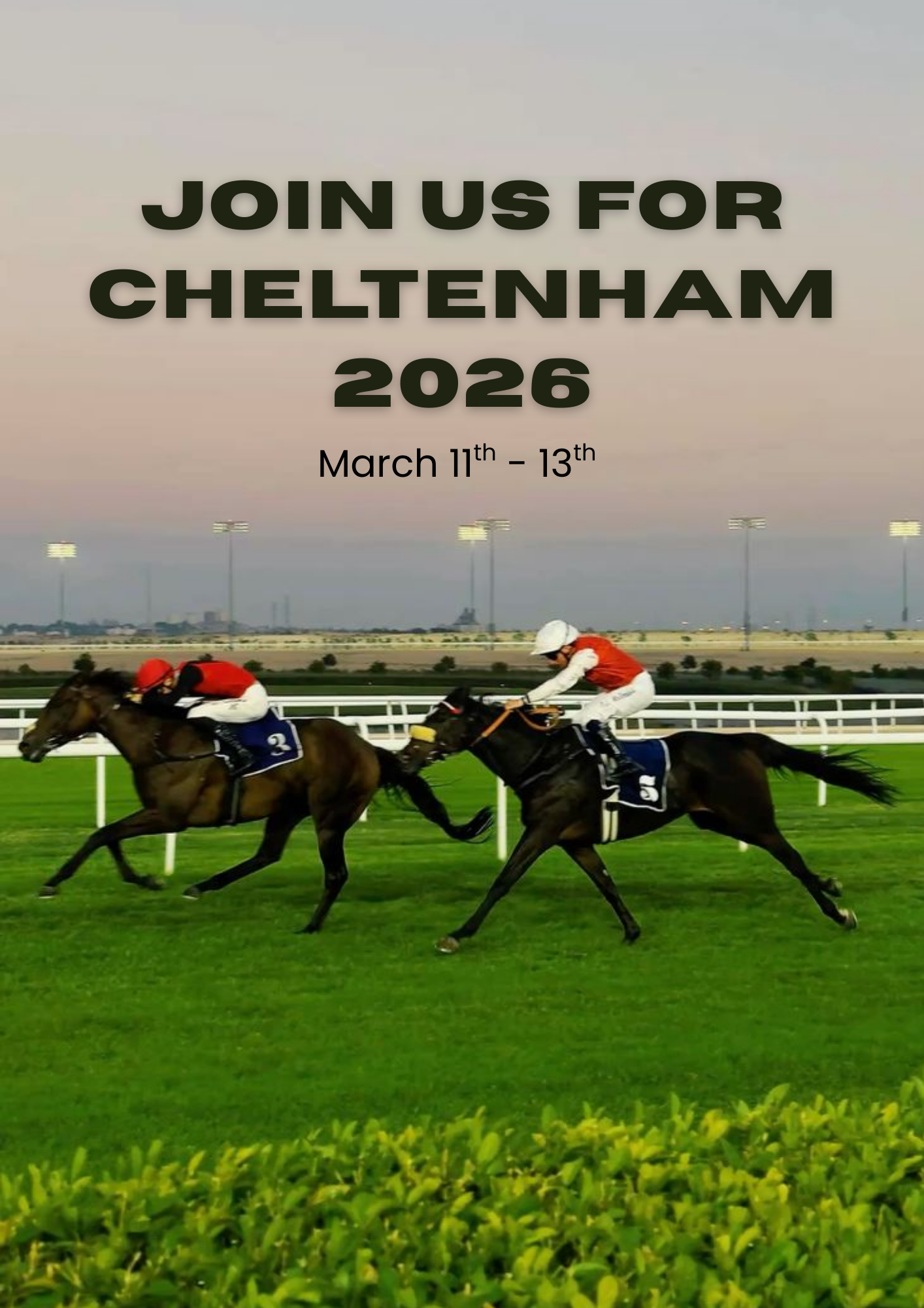 Cheltenham Live 
