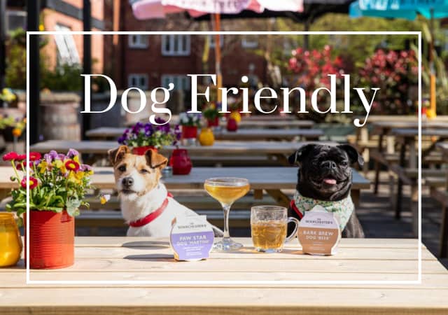 Dog friendly pubs in the Isle of Wight