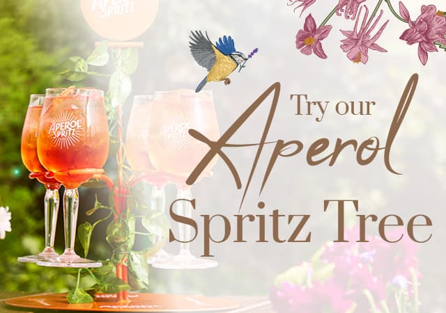 Aperol Spritz Tree | Summer With Friends at Golden Fleece York