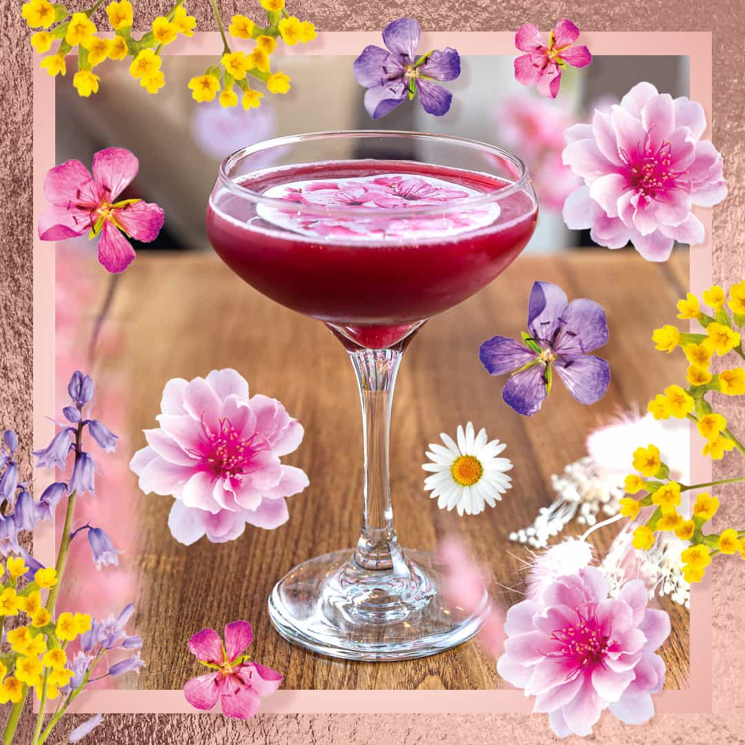 Cherry Blossom Bliss Cocktail