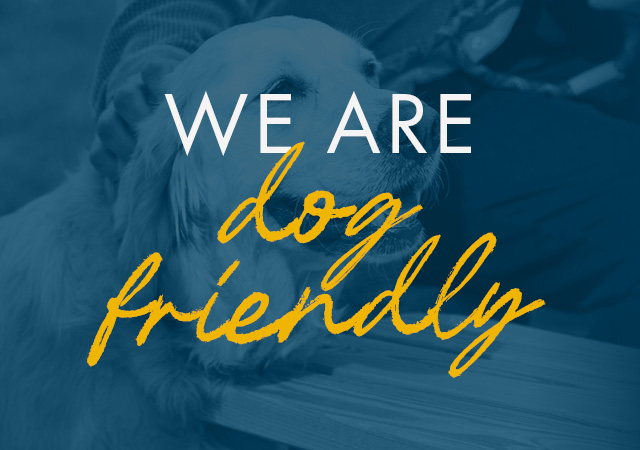 Dog Friendly 