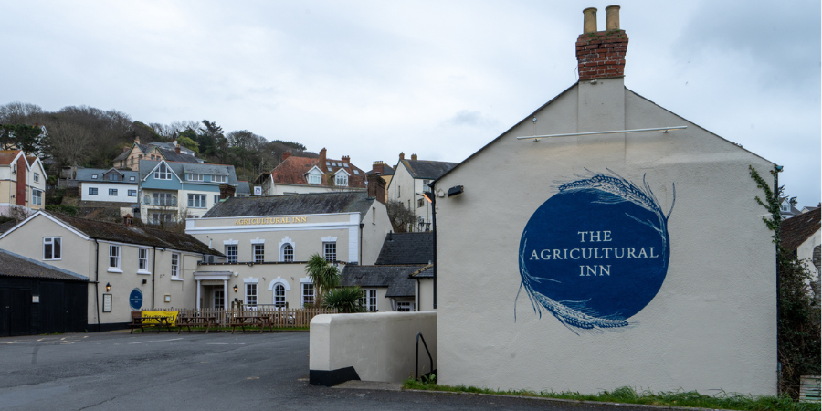 Agricultural Inn Braunton