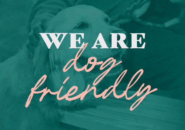 We are dog friendly