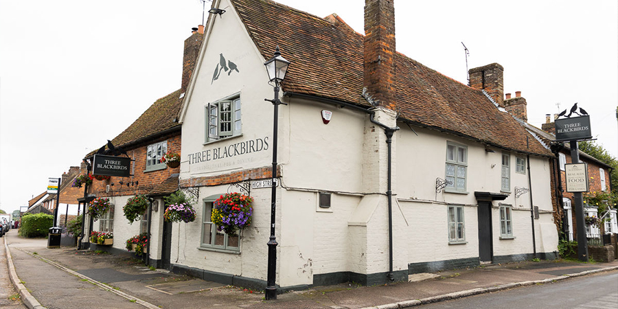 The Three Blackbirds Pub in St. Albans