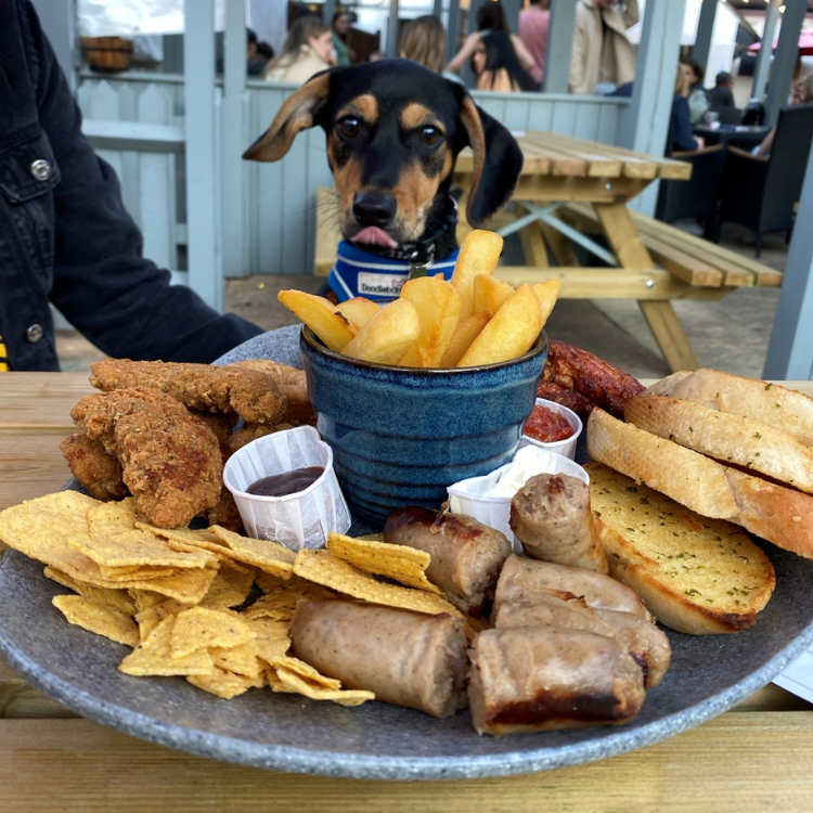 Paws at the Pub