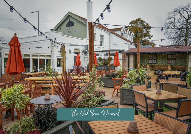 Pubs in Norwich with beer garden