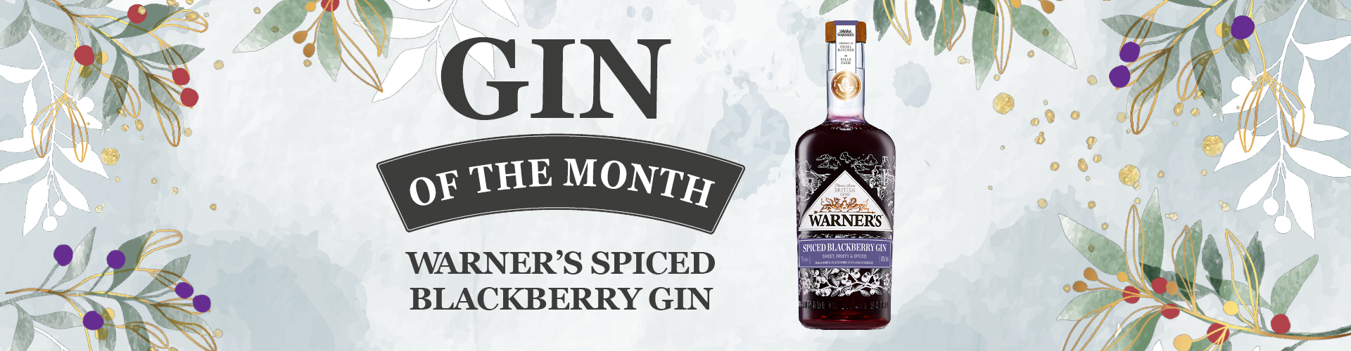 Gin of the Month - Verano Pineapple Gin