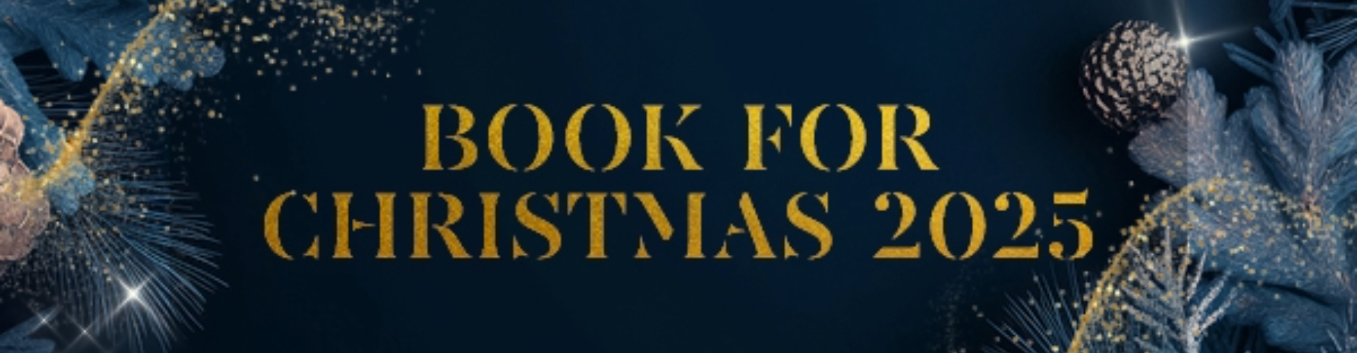 Book for Christmas 2025