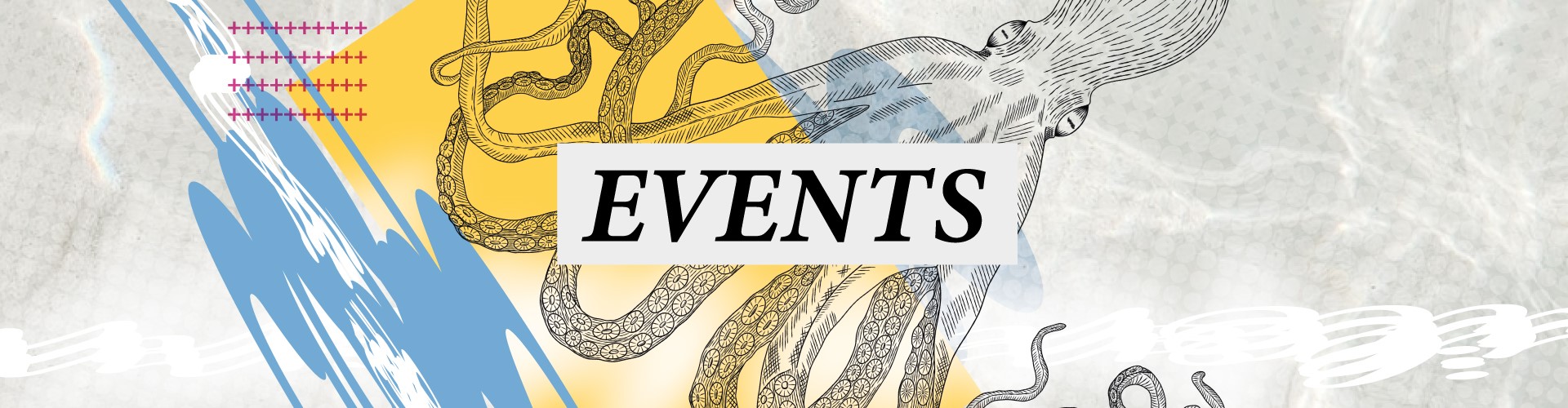 Events at the Sailors Arms Newquay