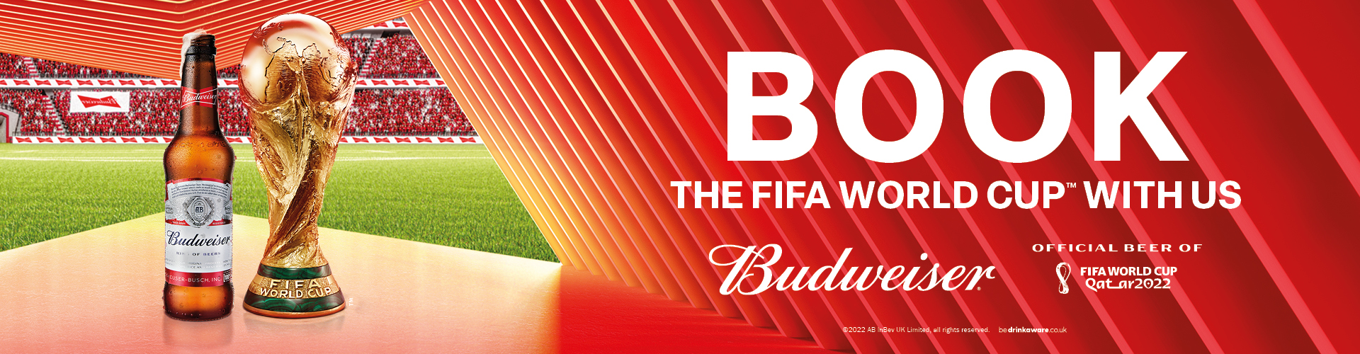 BOOK - THE FIFA WORLD CUP WITH US