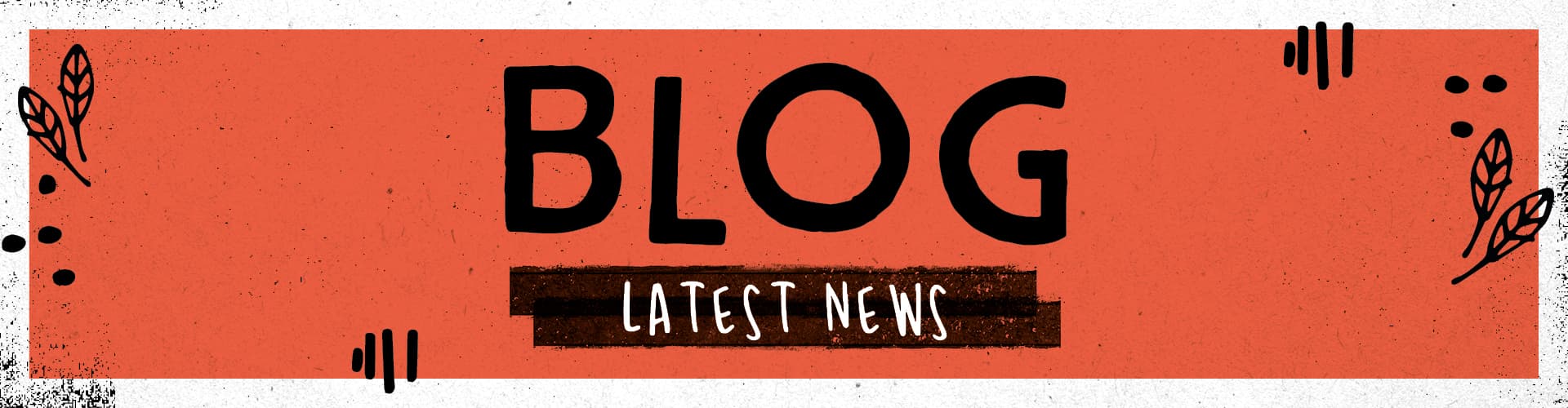 Blog