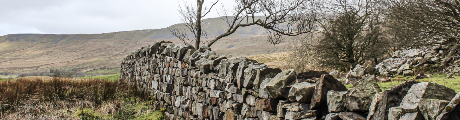 Local information for Settle