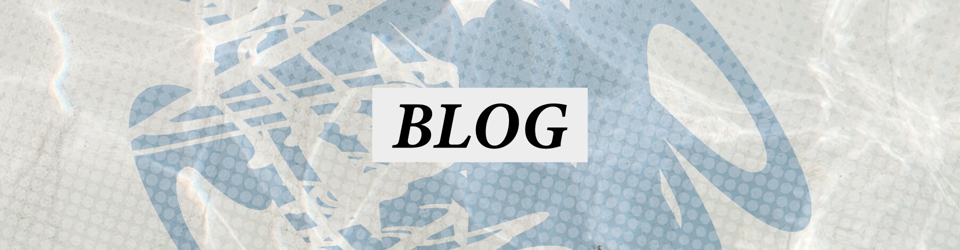 Our blog news here at Sailors Arms