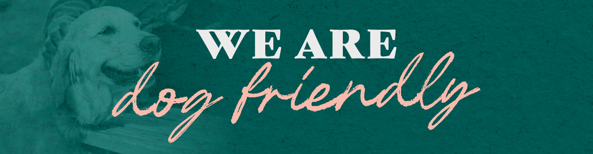 We are Dog Friendly at Old Plough Seaford