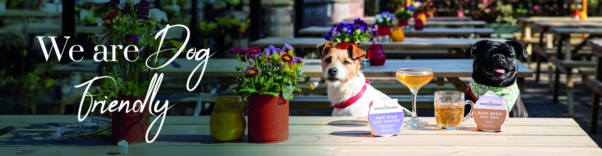 We are Dog Friendly at Ferryboat Inn