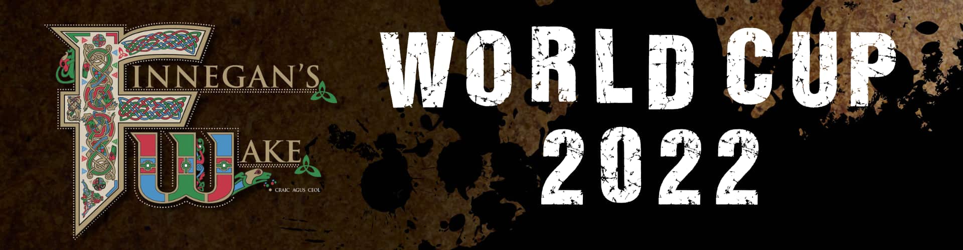 World Cup 2022 at Finnegan's Wake